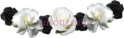 黑白花,crown black white PNG