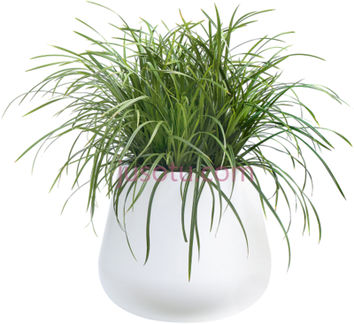 植物花盆,home pure cone pot plant PNG