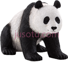 大熊猫,动物 PNG