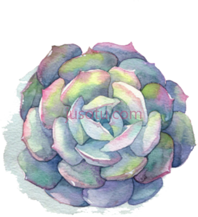 多肉,water flower painting succulents PNG
