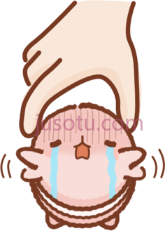 猕猴桃粉彩PNG