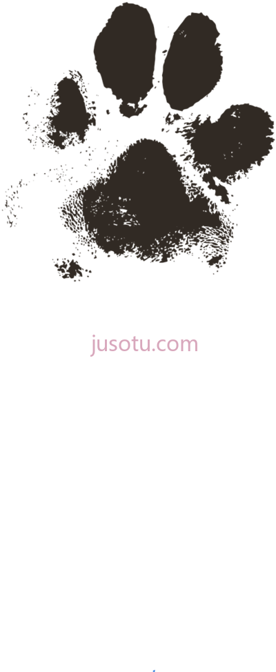 狗爪印,dog paw prints PNG