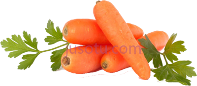胡萝卜,carrots purple red PNG