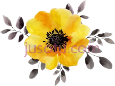 黄色水彩花, PNG