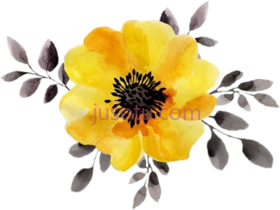 黄色水彩花,yellow watercolor flowers PNG