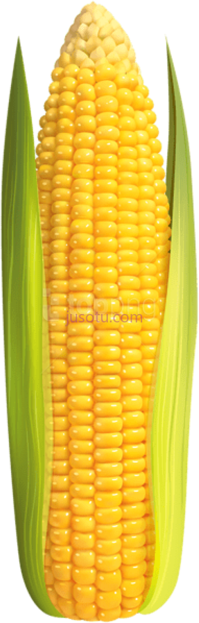 玉米芯,corn on cob PNG
