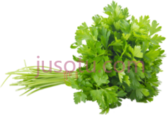 香菜PNG