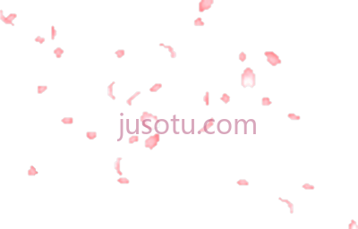樱花瓣,wallpaper soft cute flower petal sakura cherry blossom leaves PNG