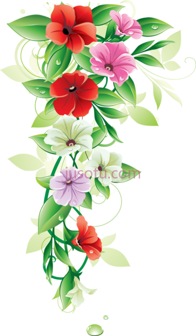花边,flower border PNG