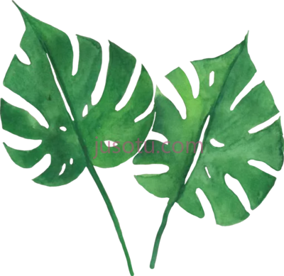 热带树叶,tropical leaves tutorial PNG