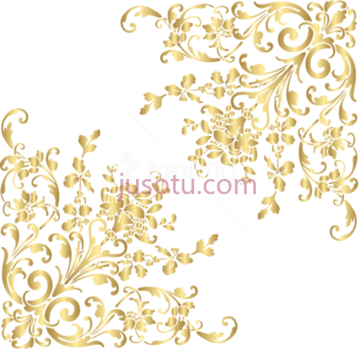 金边闪闪发光,gold corners sparkle PNG