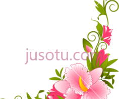 粉红花边,flower PNG