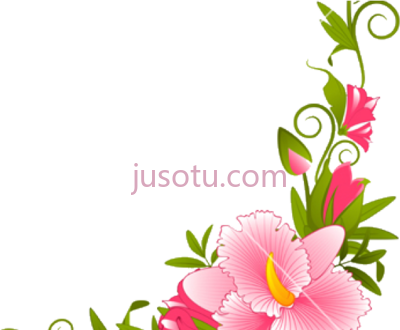 粉红花边,border PNG