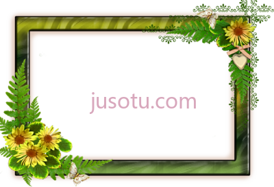 花式框架,flower format PNG