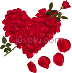 爱心红玫瑰PNG