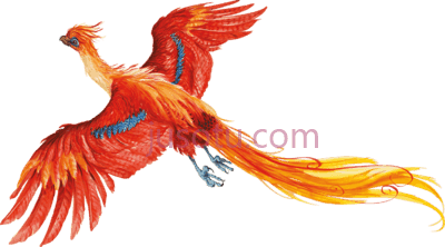 凤凰,harry potter phoenix PNG