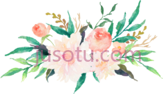 水彩花, PNG