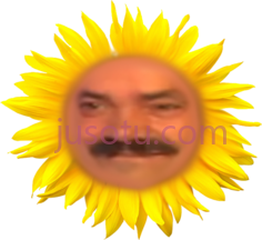 向日葵,花 PNG