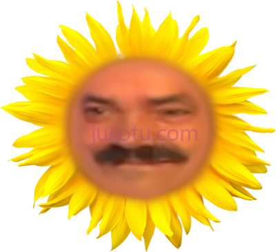 向日葵,bunga matahari vektor PNG