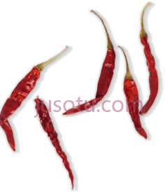 红辣椒PNG