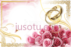 婚戒镶边,框架 PNG