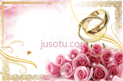 婚戒镶边,best wedding rings borders PNG