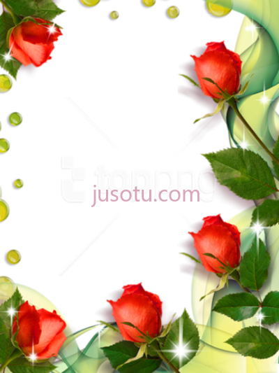 玫瑰镶边,beautiful roses borders PNG