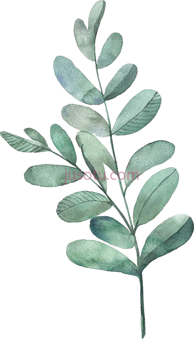 水彩树叶,pin chelsea moore on wallpapers in 2019 watercolor leaves PNG