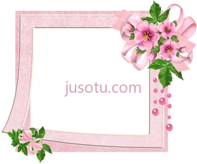 粉色花朵花边,pink flower and borders PNG