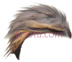 棕色男人头发PNG