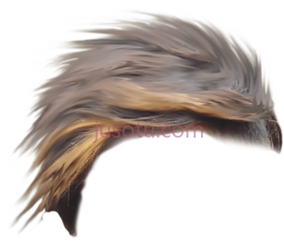 棕色男人头发,brown men PNG