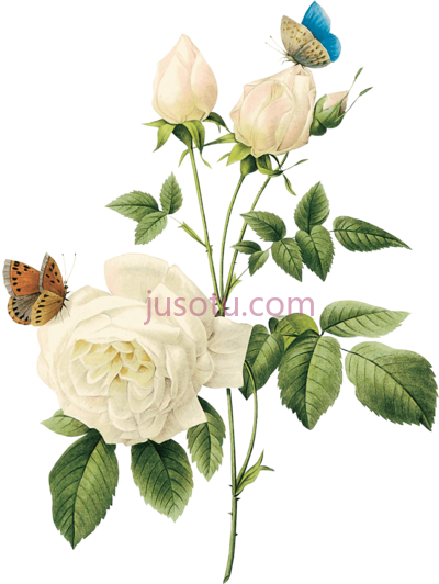 古董花,vintage flower PNG