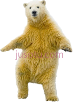 北极熊PNG
