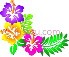夏威夷花, PNG
