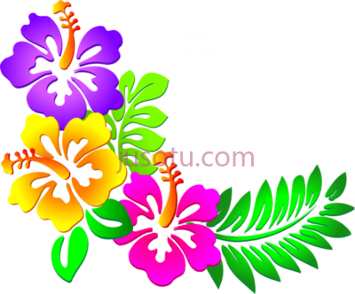 夏威夷花,hawaiian flowers corner border PNG