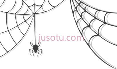 蜘蛛网,spider web PNG