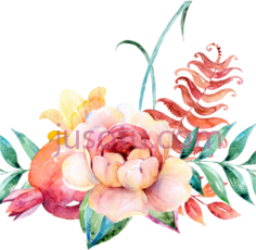 水彩花,flower PNG