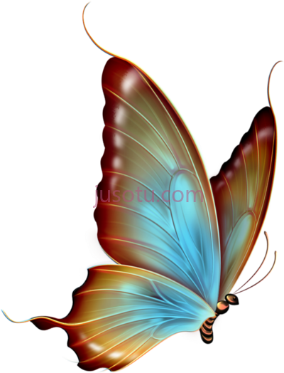蝴蝶,butterfly PNG