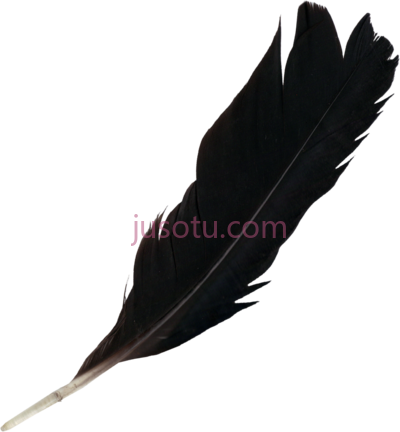 黑羽毛,black feather PNG