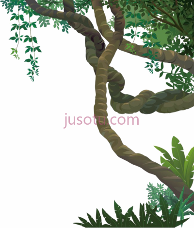 丛林藤蔓,jungle vines forest PNG