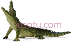 尼罗河鳄鱼PNG