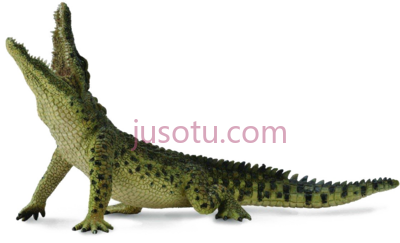 尼罗河鳄鱼,crocodile collecta nile PNG
