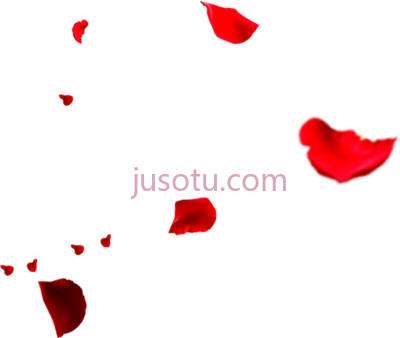 飘落花瓣,flower petals falling PNG
