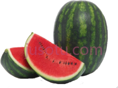 西瓜PNG