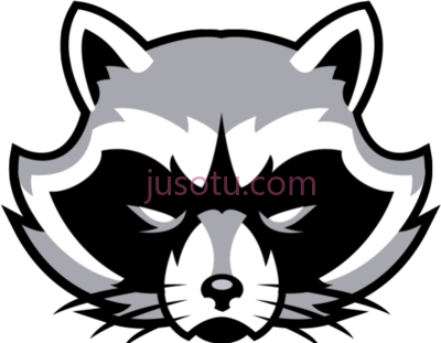 浣熊,raccoon PNG