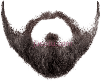 胡须,beard and moustache PNG