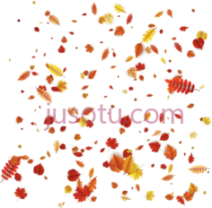 花瓣叶橙秋叶PNG