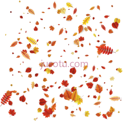 花瓣叶橙秋叶,petal leaves autumn orange falling PNG