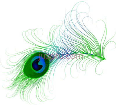 孔雀羽毛,peacocknouveau peacock feather PNG