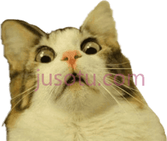 猫咪,动物 PNG
